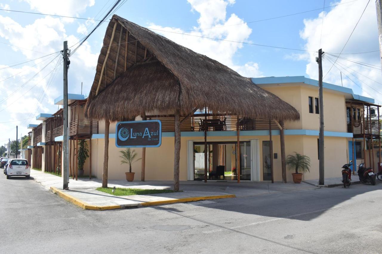 Luna Azul By Uvas Cozumel